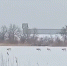 Screenshot_20260126_193223_VK - Сетевое издание Арбуз
