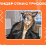 01 - Сетевое издание Арбуз