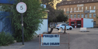 Злые собаки прохода нет - Сетевое издание Арбуз