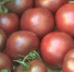 Жители Астрахани рассказали про выбор производителей продуктов - ГТРК Лотос