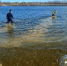 В Астраханской области водолазы обследовали утонувший в реке автомобиль - Астраханский листок