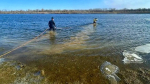 В Астраханской области водолазы обследовали утонувший в реке автомобиль