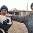 В Приволжском районе развивают мясное животноводство - Астрахань 24