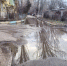 img - ЛДПР