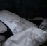 Screenshot_20260306_183720_MAX - Сетевое издание Арбуз