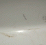Screenshot_20260308_140805_MAX - Сетевое издание Арбуз