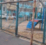 Screenshot_20251224_145115_Telegram - Сетевое издание Арбуз