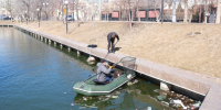 DSCF5552 - Сетевое издание Арбуз