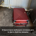 Стриптизер из Астрахани расчленил свою девушку и вынес тело в двух чемоданах на мусорку