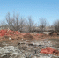 На севере Астраханской области обнаружили свалку репчатого лука - Bloknot-Astrakhan.Ru