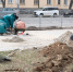 Астраханские парки и скверы готовятся к открытию поливочного сезона - Газета Волга