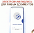 photo-output(1).jpeg - МФЦ