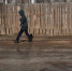 DSCF3273 - Сетевое издание Арбуз