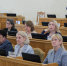 Инна Ирдеева приняла участие в заседании комиссии по социально-демографическим вопросам - Дума