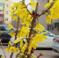 Завтра в Астрахани тепло и без дождя - Punkt-a.info