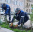 Screenshot_20260403_103410_Telegram - Сетевое издание Арбуз