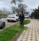 В Астрахани вдоль улиц скашивают сорную растительность и камыш
