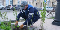 В Астрахани приступили к озеленению общественных пространств - Астрахань 24