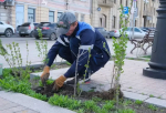 В Астрахани приступили к озеленению общественных пространств