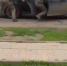 В Астрахани полиция освободила похищенного мужчину и задержала троих подозреваемых - Астраханский листок