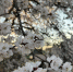 HAjC1O0LPXmmf3MccdmCiEO-1RHvuufMh9hgGYdeSWKtNbptkTXwdFK3cPXV1fxxla2XP5C6yAA8jX33aWlUEinT.jpg - МФЦ