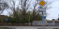 dscf1943 - Сетевое издание Арбуз
