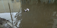 Откачка воды, затопило, дождь, лужи, вода - Астраханский листок
