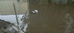 Откачка воды, затопило, дождь, лужи, вода