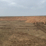 Свалку лука обнаружили на севере Астраханской области - Punkt-a.info