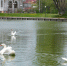 DSCF4166 - Сетевое издание Арбуз
