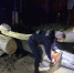 Астраханские спасатели ликвидировали упавшее на дорогу дерево - Астрахань 24