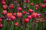 IMG_20260420_141808