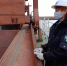 12 тысяч тонн кормовой кукурузы отправились из астраханского порта в Иран - Газета Волга