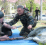 dscf5282 - Сетевое издание Арбуз