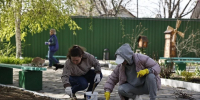 Астраханская область присоединится к Всероссийскому субботнику «Мы за чистоту» - Газета Волга