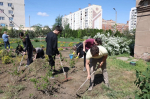 Астраханская область присоединится к всероссийскому субботнику 25 апреля