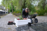 Цветущая Астрахань: в городе готовят клумбы и моют деревья перед праздниками