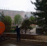 Screenshot_20260423_115717_Telegram - Сетевое издание Арбуз
