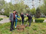 Астраханский онкодиспансер присоединился к Всероссийской неделе субботников «Мы за чистоту»