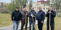 В Астрахани высадили яблони у онкодиспансера и готовятся к большому субботнику - Astrakhanpost.Ru