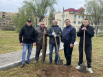 В Астрахани высадили яблони у онкодиспансера и готовятся к большому субботнику