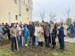 В Астрахани высадили яблони у онкодиспансера и готовятся к большому субботнику