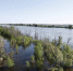 Максимальные объемы сброса воды в Астраханской области удастся продержать до 30 апреля - Газета Волга