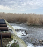 Западные подстепные ильмени в Астраханской области наполняются водой