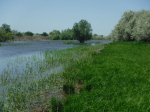 половодье река