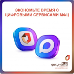 мфц.jpg