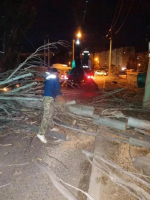 Городские коммунальные службы оперативно приступили к устранению последствий шквалистого ветра