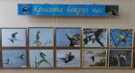 В Астрахани открылась выставка фотохудожника Александра Маркова