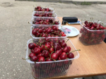 КаспийИнфо. Новости Астрахани и региона