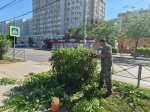 В Астрахани продолжаются работы по опиловке и обрезке деревьев и кустарников